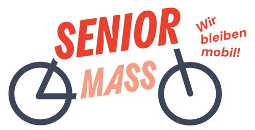 Wie organisiere ich eine Senior Mass (Fahrraddemo für Senior*innen) - Online-Infoveranstaltung